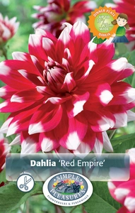 Dahlia Red Empire | 12 pce