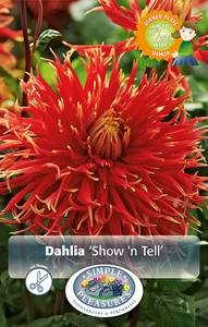 Dahlia Show 'n Tell | 12 pce