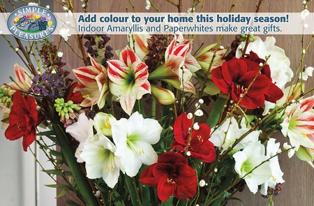 Display Add colour to your home