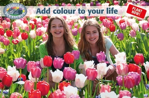 Display Add colour to your life