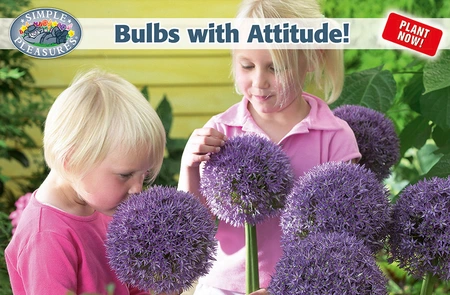 Display Bulbs with attitude