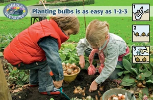 Display Planting Bulbs is as easy as 123