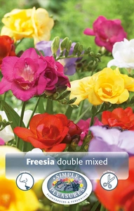 Freesia Mixed double freesia | Capper 5 x 16