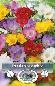 Freesia Mixed single freesia | Capper 5 x 16