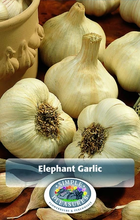 Garlic Elephant Garlic | Capper 5 x 16