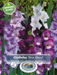 Gladiolus Blue Blend | Capper 5 x 16