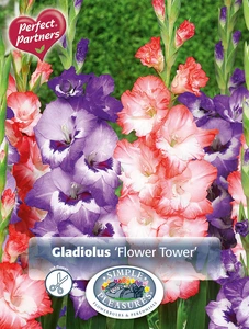 Gladiolus Flower Tower | Capper 5 x 16