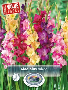 Gladiolus Gladiolus Giant Mixture | Capper 5 x 16