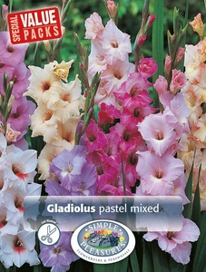 Gladiolus Gladiolus Pastel Mixed | Capper 5 x 16