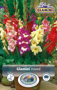 Gladiolus Glamini Mixed | Capper 5 x 16