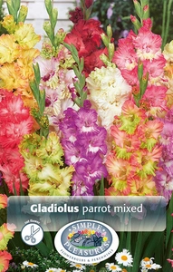 Gladiolus Parrot Mixed | Capper 5 x 16