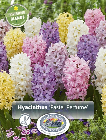 Hyacinthus Blend Pastel Perfume | Cappers 8 x 15