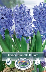 Hyacinthus Delft Blue | Cappers 4 x 16