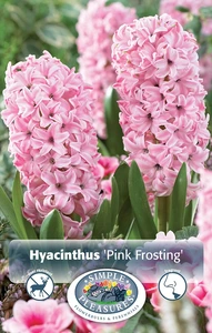 Hyacinthus Pink Frosting (Fondant) | Cappers 4 x 16