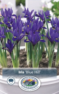 Iris Botiris Blue Hill | Cappers 12 x 20