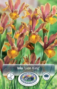 Iris Dutch Lion King | Cappers 10 x 15