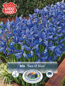 Iris Dutch Sea of Blue | Cappers 40 x 15