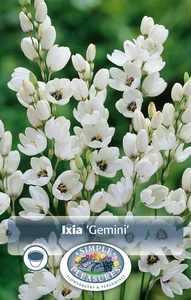 Ixia Gemini | Capper 5 x 16