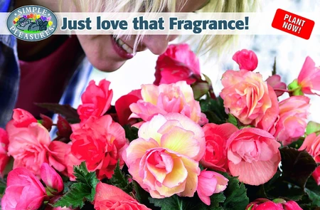 Just Love That Fragrance