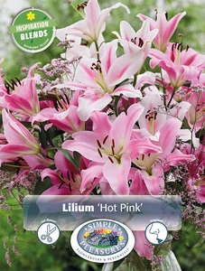 Lilium Hot Pink | Capper 5 x 16