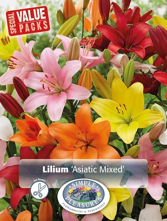 Lilium Mix | Capper 5 x 16