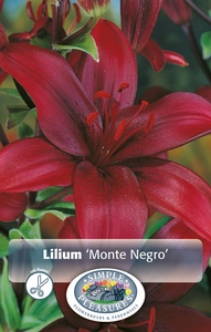 Lilium Monte Negro | Capper 5 x 16