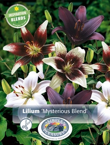 Lilium Mysterious Blend | Capper 5 x 16