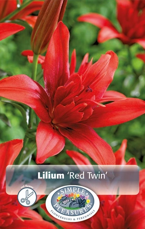 Lilium Red Twin | Capper 5 x 16