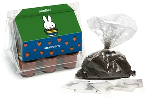 Miffy Mini Greenhouse Strawberry