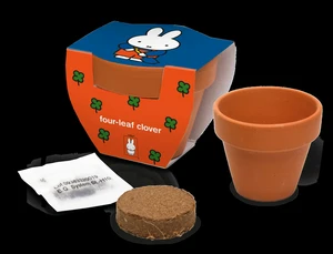 Miffy Terracotta Pot Four-Leaf