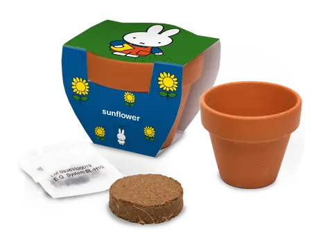 Miffy Terracotta Pot Sunflower | 120 pce