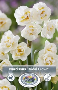 Narcissus Double Bridal Crown | Cappers 5 x 12