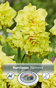 Narcissus Double Fairness | 60 pce