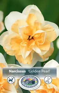 Narcissus Double Golden Pearl | 60 pce