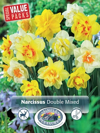 Narcissus Double mixed | Cappers 10 x 15