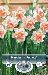 Narcissus Double Replete | Cappers 5 x 12