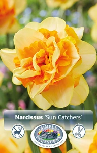 Narcissus Double Sun Catchers | 60 pce