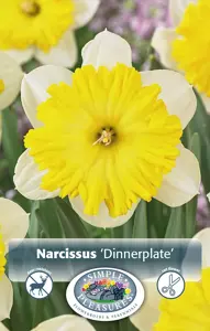 Narcissus Large Cup Dinnerplate | 60 pce