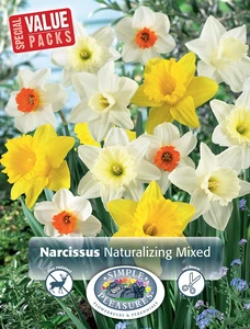 Narcissus Naturalizing mixed | Cappers 15 x 12