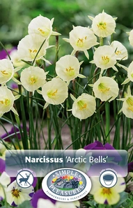 Narcissus Specialty Arctic Bells | Cappers 10 x 12