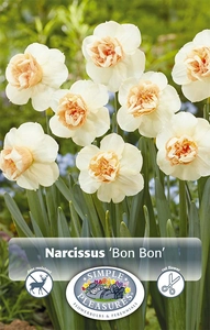 Narcissus Specialty Bon | Cappers 5 x 20