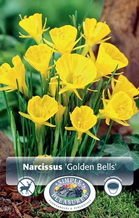 Narcissus Specialty Golden Bells | Cappers 10 x 12