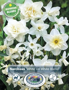 Narcissus White on Blend | Cappers 12 x 15