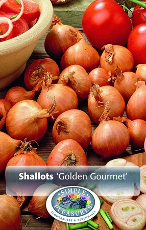 Onions Shallots Golden Gourmet | Capper 5 x 16