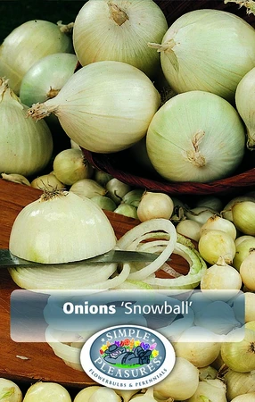 Onions White Onion - Snowball 32LB