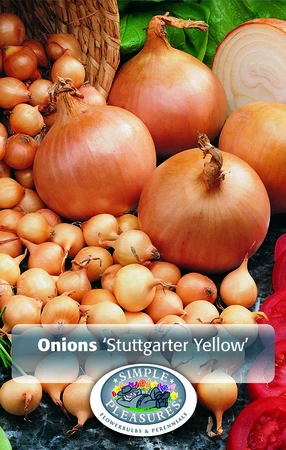 Onions Yellow Onion - Stuttgarter 32LB