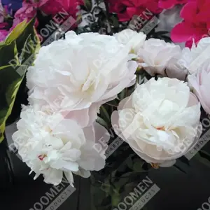 Paeonia Mother'S Choice | 15 pce