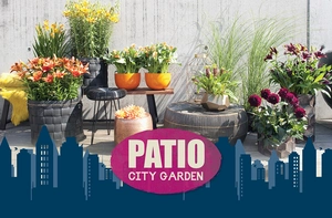 Patio City Garden