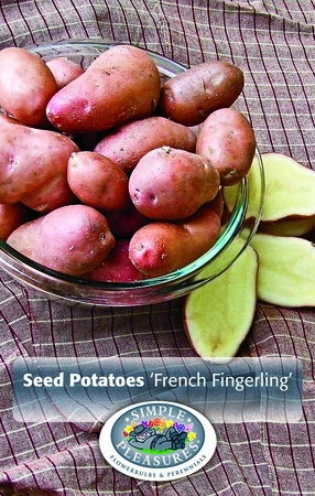 Potatoes French Fingerling | Capper 5 x 16