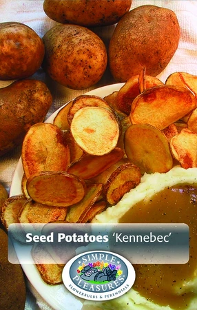 Potatoes Kennebec | Capper 5 x 16